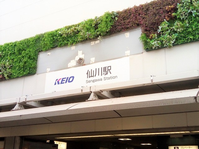 仙川 京王線 舞仙 スタジオ